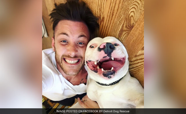 Mich. Officials Demanding That Man Part With Adopted Dog