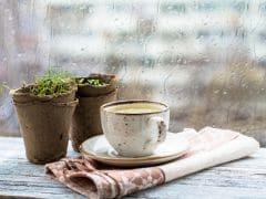 How to Make Masala Chai: A Fool Proof Recipe How to Make Masala Chai: A Fool Proof Recipe