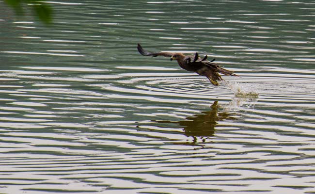 850 Water Bodies Identified For Rejuvenation, 700 For Water Conservation In Jammu