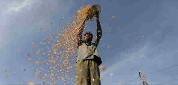 Government Says India's Wheat Stock Position Comfortable