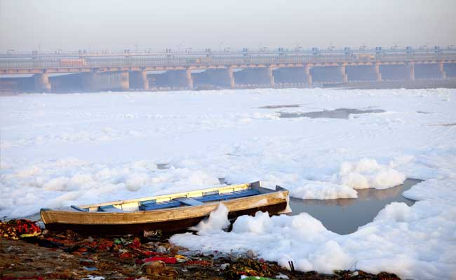 Blog: Congratulations To Us, We're More Destructive Than An Asteroid