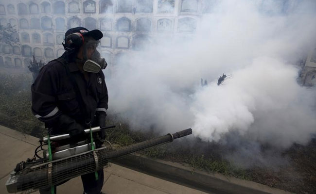 Women In Areas With Zika Transmission Should Delay Pregnancy: WHO