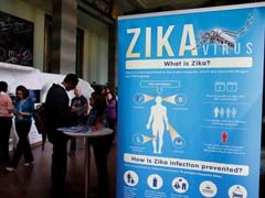 US Declares A Zika Public Health Emergency In Puerto Rico