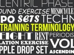 Unlocking Weightlifting Terminology: A World Beyond 'Reps' and 'Sets' Unlocking Weightlifting Terminology: A World Beyond 'Reps' and 'Sets'
