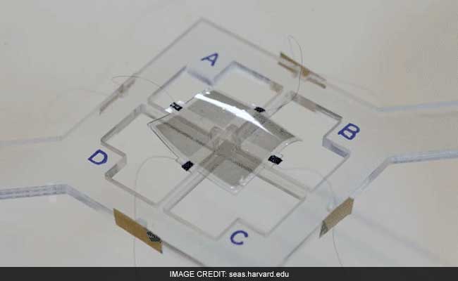 New Artificial Muscle To Help Make 'Soft' Robots