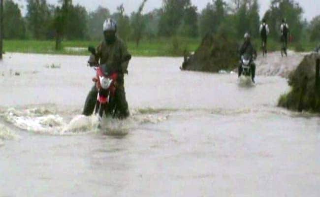 Animal Behaviour Guides Assam Villagers Out Of Flood Danger
