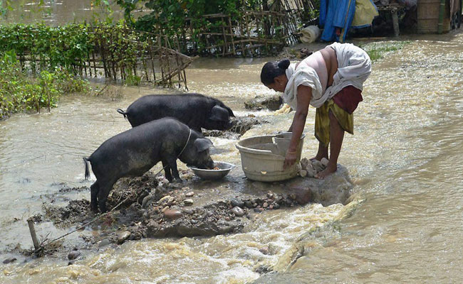 असम के 14 जिलों में बाढ़ से 6 लाख से ज्यादा लोग प्रभावित, 7 मरे