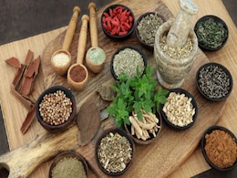 7 Foods That Fight Bacteria and Kill Germs Naturally 7 Foods That Fight Bacteria and Kill Germs Naturally