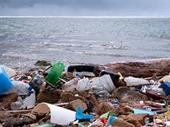 Plastic Threatens Migratory Species In Asia-Pacific Region: UN