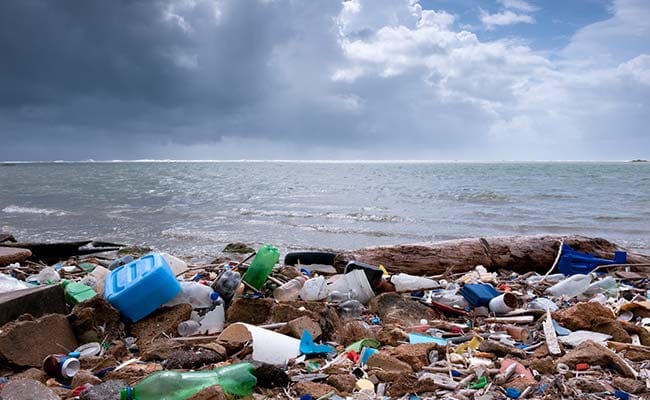 Plastic Debris Poses Threat To Marine Life Along Goa's Coast