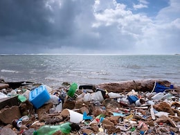 Plastic Threatens Migratory Species In Asia-Pacific Region: UN Plastic Threatens Migratory Species In Asia-Pacific Region: UN