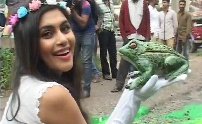 No Fairy Tale Ending On This Broken Road Near Bengaluru