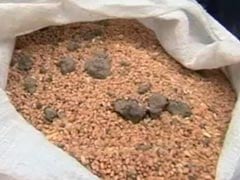 For Flood Victims In Bhopal, Bags Of Wheat Come With Stones, Mud