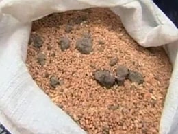 पंजाब में FCI का 700 करोड़ रुपये मूल्य का गेहूं खराब हुआ: कैग पंजाब में FCI का 700 करोड़ रुपये मूल्य का गेहूं खराब हुआ: कैग