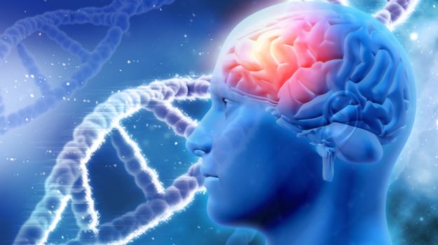 This Deadly Bacteria Can Reach Your Brain in a Day