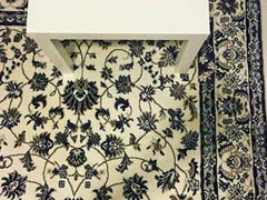 Viral: Can You Find The Secret This Magic Carpet Is Hiding?