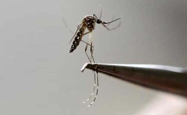 Chikungunya Virus Is Transmitted Across Mosquito Generations