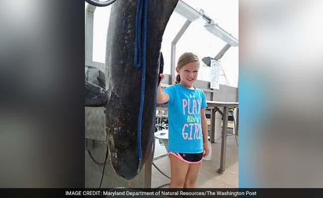 Record-Breaking Maryland Fish Weighs More Than The Girl Who Caught It