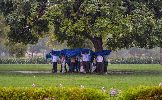 Pleasant Morning After Rain Cures Delhi's Monday Blues