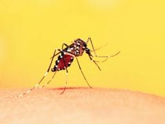 First Dengue Case Detected In Mizoram