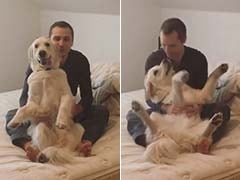 Is This The Most Trusting Dog in the World? He Sure Seems Like The Cutest