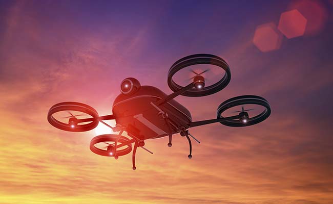 Drones, Unscheduled Flights Banned Near BRICS Summit Venue In Goa