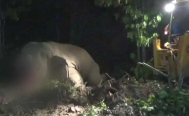 After Search With Drones, Officers Forced To Shoot Dead Elephant