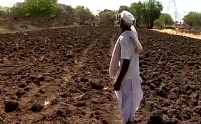 Farmers Hope For Good Rain In Coming Months After Dry Spell in June