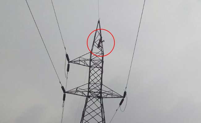 Gabbar Singh, Very Drunk, Spent 4 Hours At Top Of This Tower