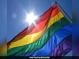 Gays Can Demand Parental Rights For Non-Biological Kids: New York Court Gays Can Demand Parental Rights For Non-Biological Kids: New York Court