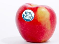 People Want GMO Food Labeled - Which is Pretty Much all They Know About GMOs
