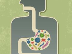 Obese And Lean Children Have Different Gut Bacteria: Study