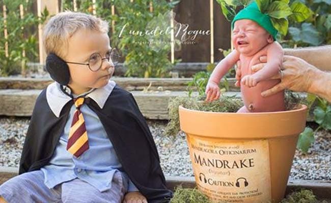 Starring Wailing Mandrake-Baby, This Harry Potter-Themed Pic is Now Viral