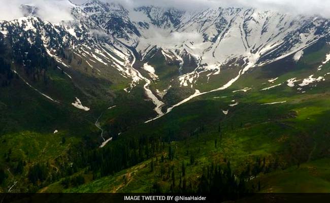 Uttarakhand To Spend Rs 25 Crore To Search For Mythical Herb Near China Border