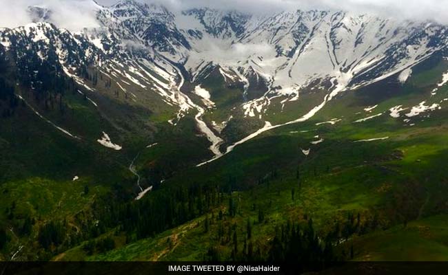 In China's Himalayas, A Wine "Flying Above The Clouds"