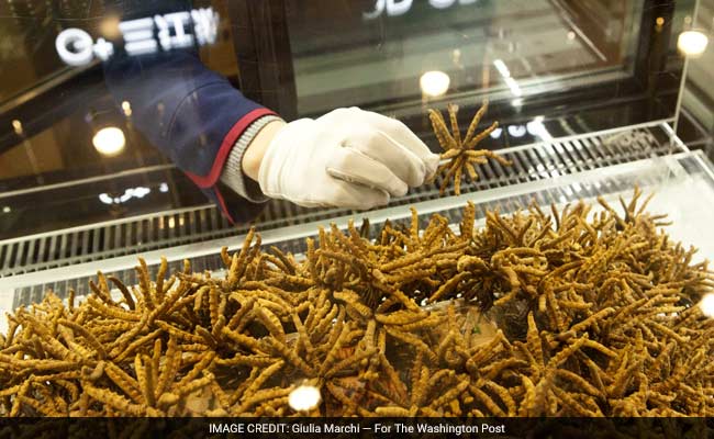 'Himalayan Viagra': Tibet's Gold Rush May Be Coming To An End