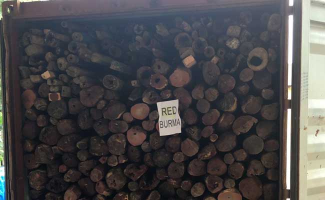 Sandalwood Worth Rs 16 Crore Seized At Private Warehouse Near Chennai Port
