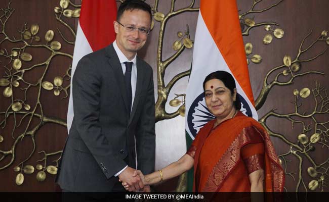 Hungary Supports India's Bid To Become NSG Member