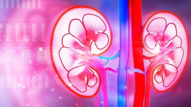 Kidney Disease Sufferers Doubled In India In 15 Years