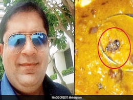 Mumbai Man Falls Sick After Being Served Cockroach In Meal On Flight Mumbai Man Falls Sick After Being Served Cockroach In Meal On Flight