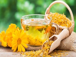 Marigold Flower Tea Benefits: गेंदे के फूल से बनी चाय पीने के 6 अद्भुत फायदे Marigold Flower Tea Benefits: गेंदे के फूल से बनी चाय पीने के 6 अद्भुत फायदे