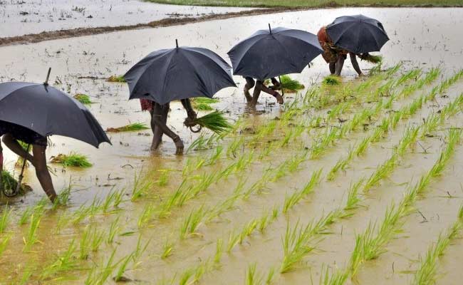 Monsoon Rainfall Deficiency 29 Per Cent in Kerala