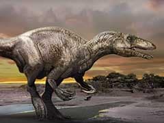 New 'Giant Thief' Dinosaur Discovered In Argentina