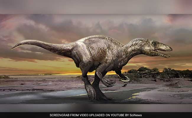 New 'Giant Thief' Dinosaur Discovered In Argentina