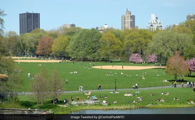 Man Faces 'Possible Amputation' After Central Park Explosion