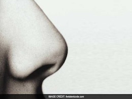 नाराज पति ने दांतों से काटी पत्नी की नाक, जानें क्या है पूरा मामला नाराज पति ने दांतों से काटी पत्नी की नाक, जानें क्या है पूरा मामला