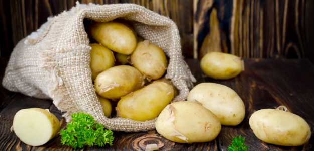 Rise In Food Prices Confined To Tomato, Potato, Onion: SBI Research