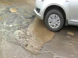 AAP Plants Saplings In Potholes, Names Them After Politicians In Bhopal AAP Plants Saplings In Potholes, Names Them After Politicians In Bhopal