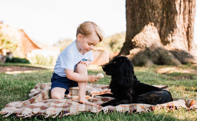 On Prince George's Third Birthday, Four Adorable New Pics. You're Welcome