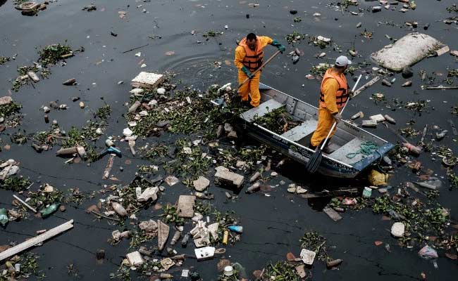 Corpses, Excrement, Litter: Welcome To Rio Olympic Sailing Venue